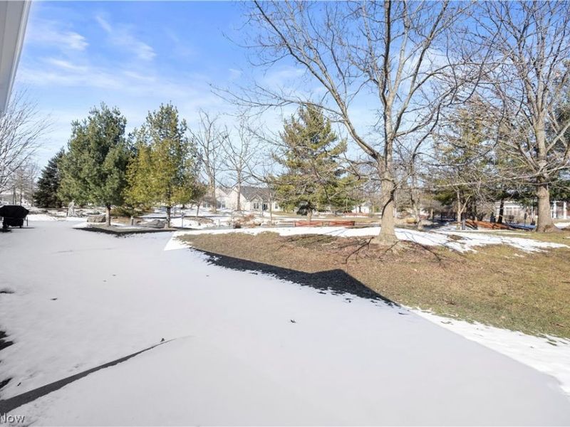 12770 Doula Lane, North Royalton, OH 44133 Photo 38