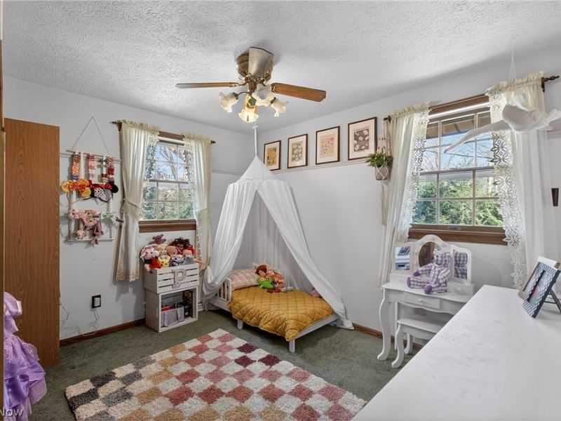 2815 Race Street, Dover, OH 44622 Photo 22