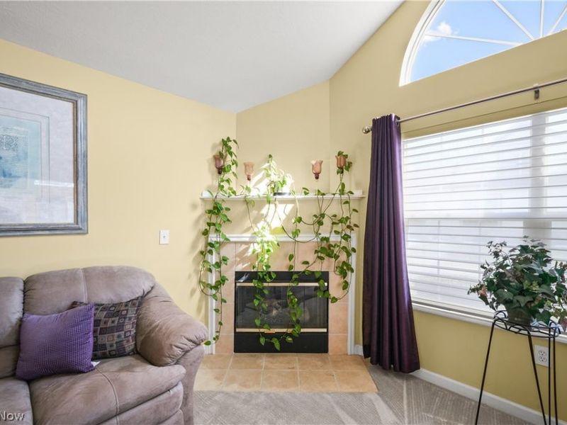 705 Crossings Circle, Tallmadge, OH 44278 Photo 4