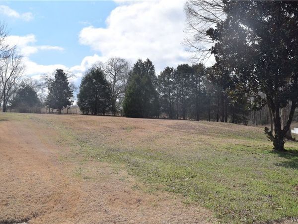 22213 Sandra Lane, McCalla, AL 35111