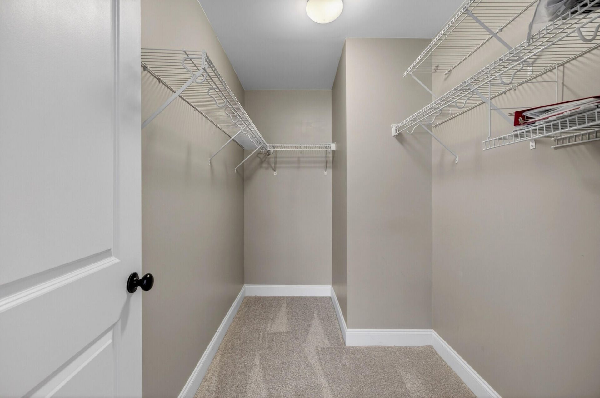 1694 Sparkleberry Lane Photo 29