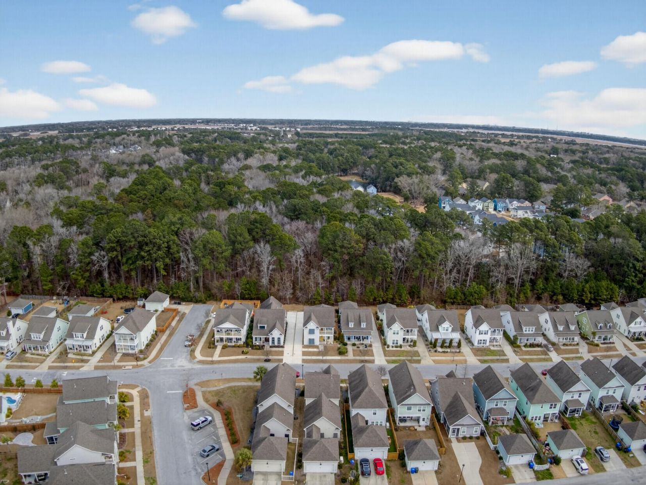 1694 Sparkleberry Lane Photo 44