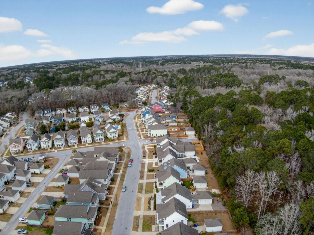 1694 Sparkleberry Lane Photo 46