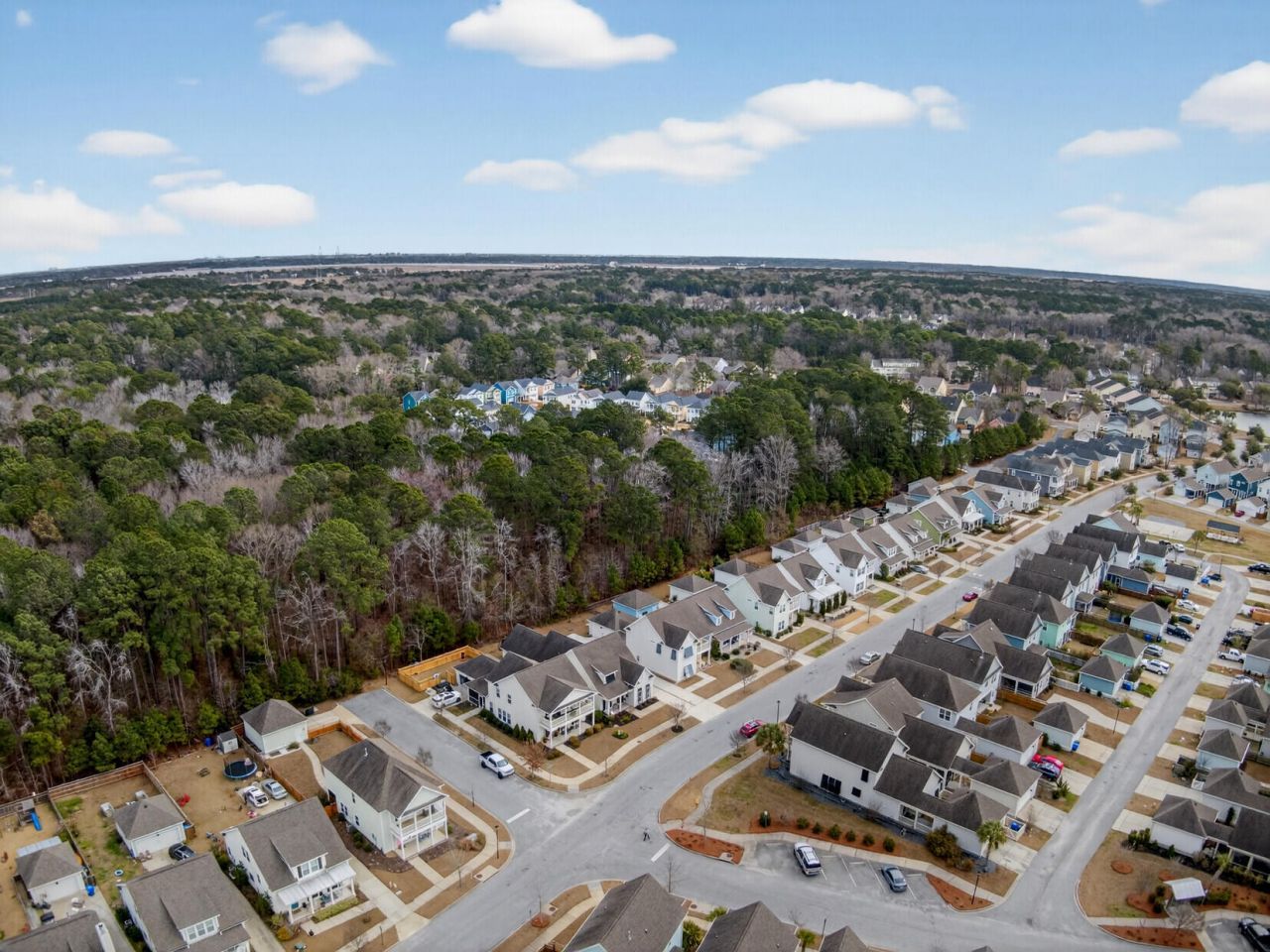 1694 Sparkleberry Lane Photo 51