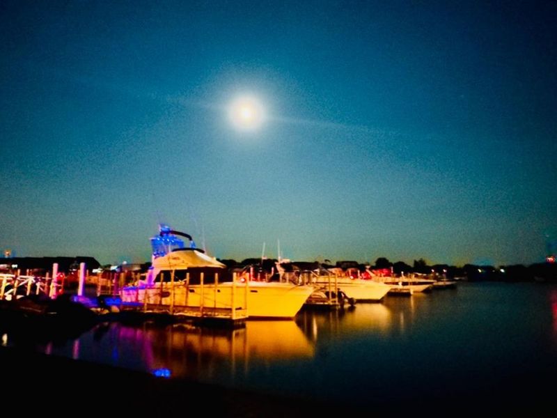 208 Clinton Reef Drive, Port Clinton, OH 43452 Photo 25