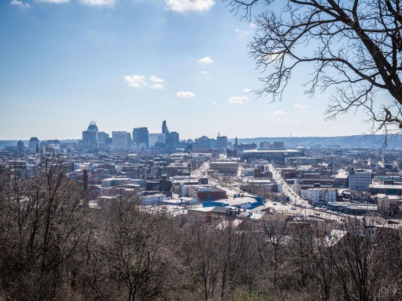 305 Klotter Avenue, Cincinnati, OH 45219 Photo 3