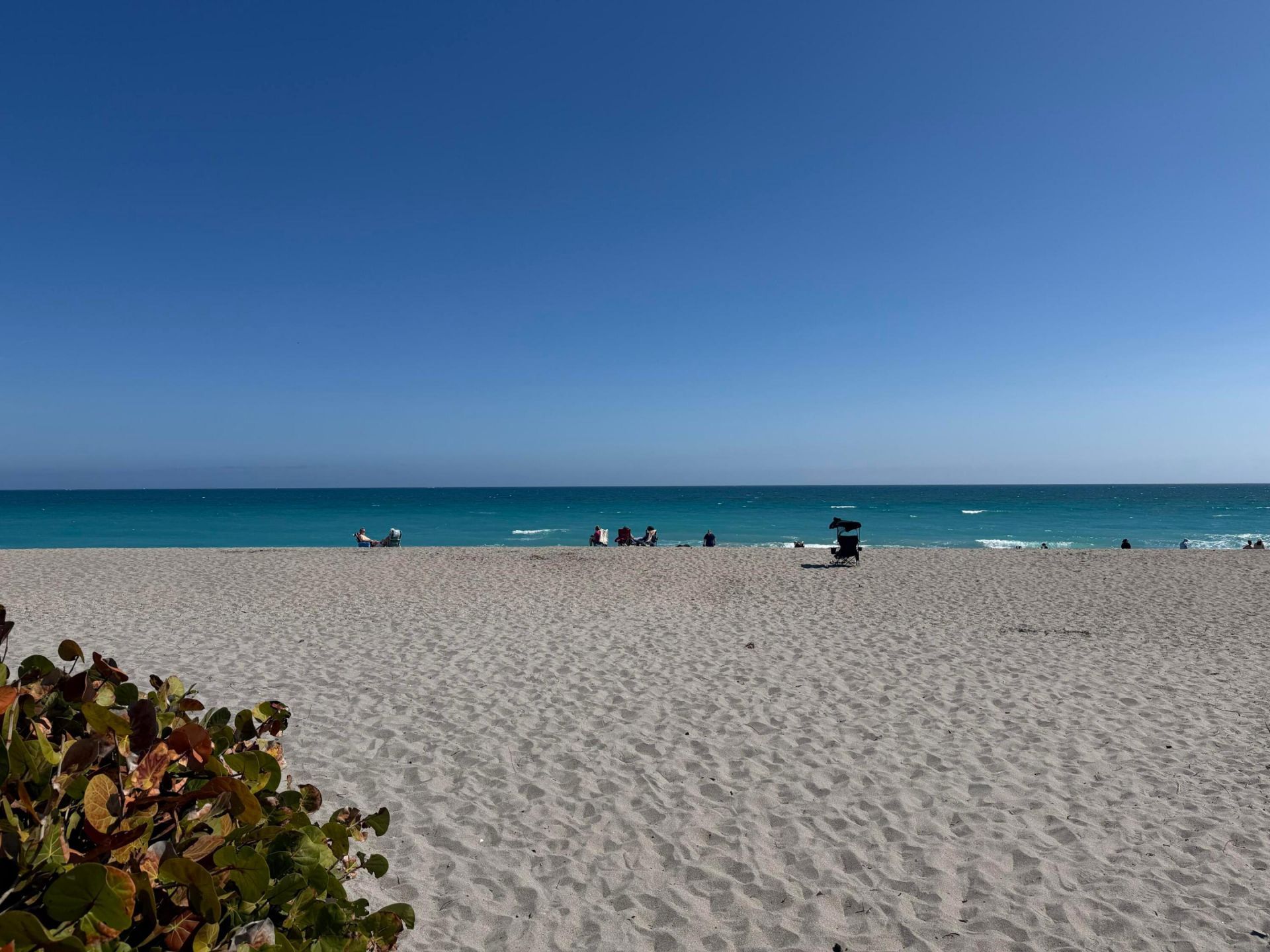 1403 14th Court, Jupiter, FL 33477 Photo