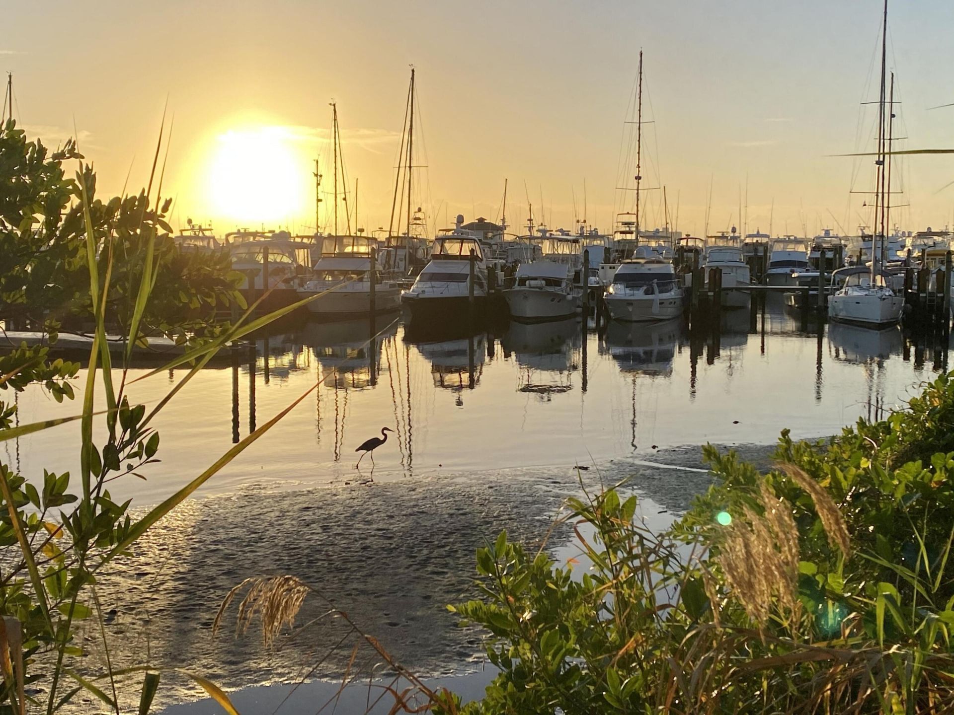 215 NW Flagler, Unit 202, Stuart, FL 34994 Photo