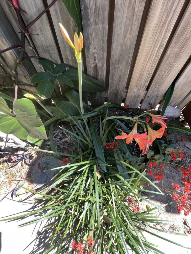 1518 15th Court, Jupiter, FL 33477 Photo