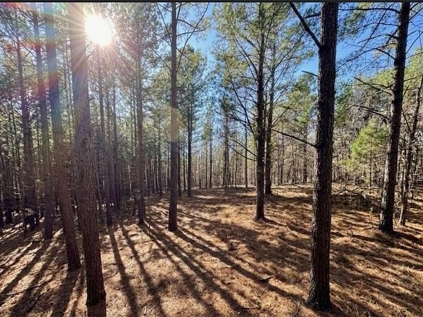 0 S NC highway 86 , Prospect Hill, NC 27314