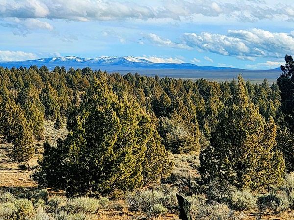 Merrill Road, Unit TL 1800, Brothers, OR 97712