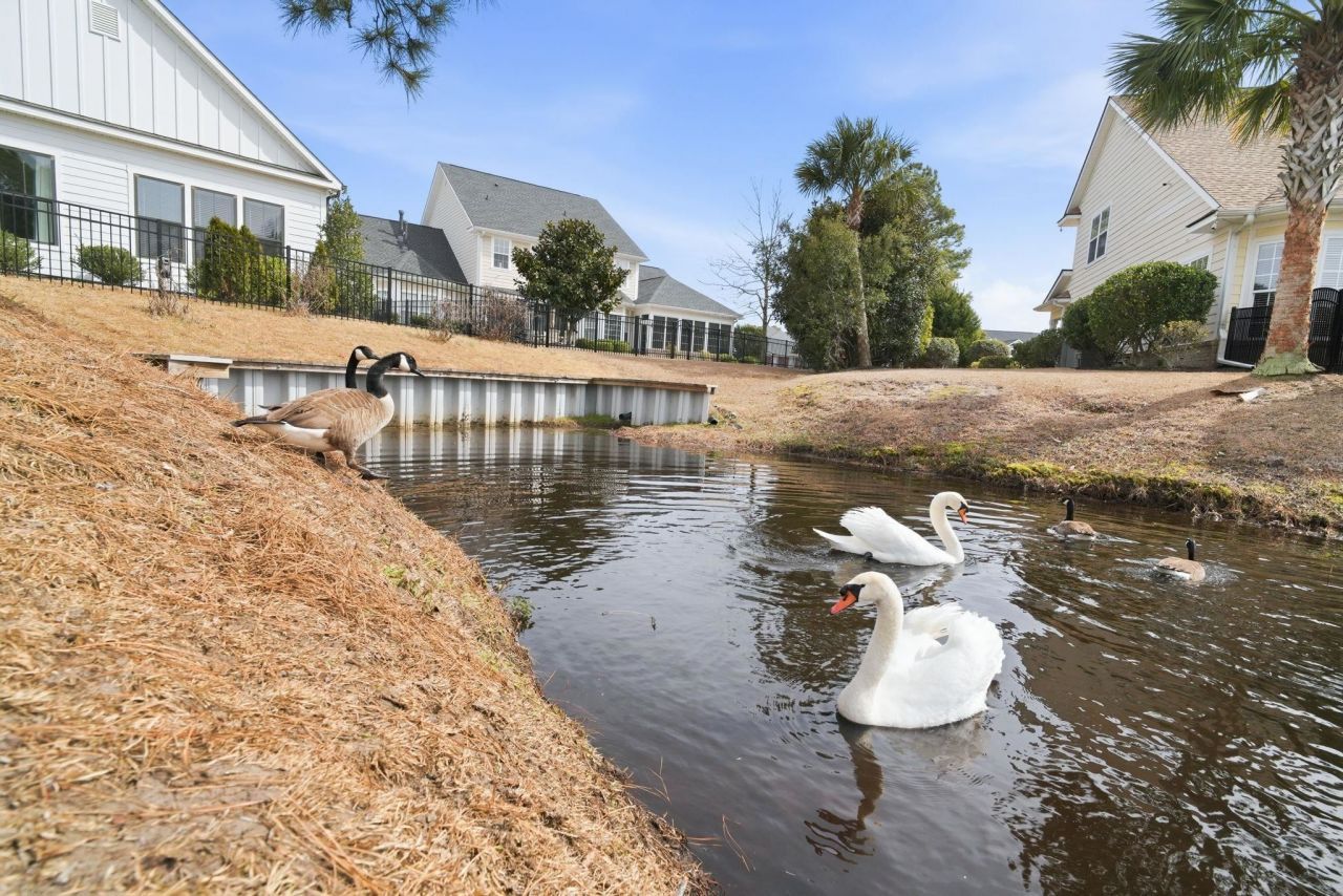 8304 Juxa Dr. Photo 49