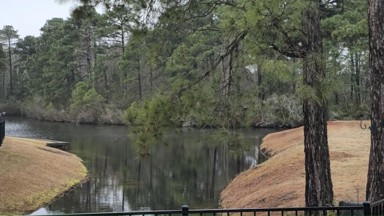 8304 Juxa Dr. Photo 58