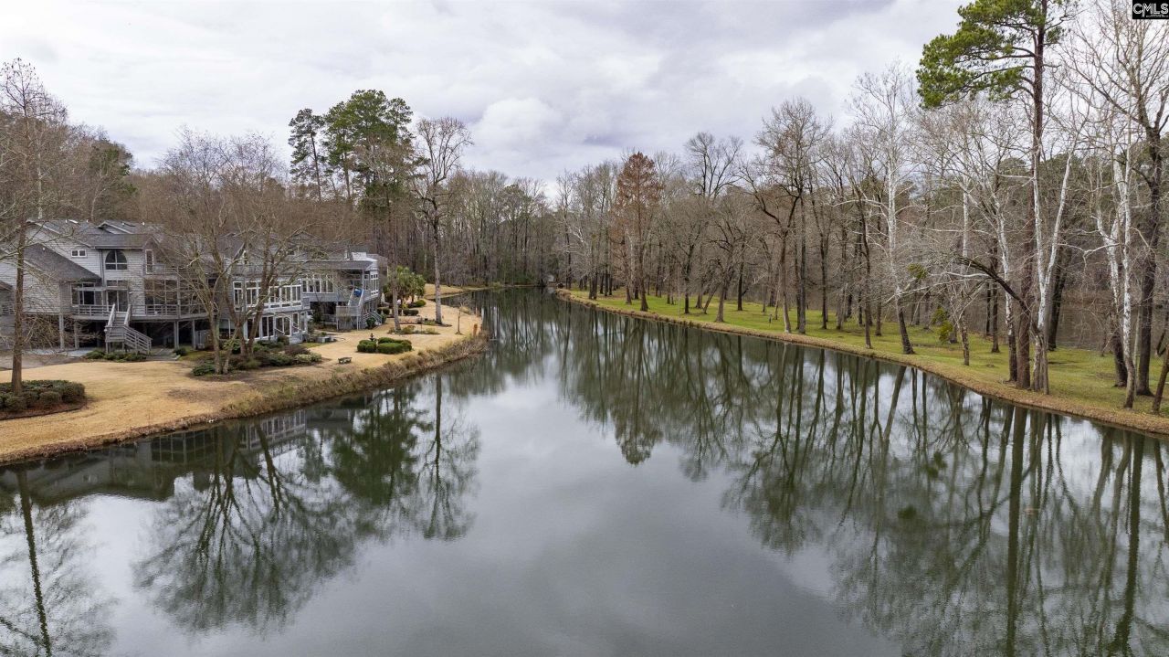 109 Saluda View Court  Photo 10