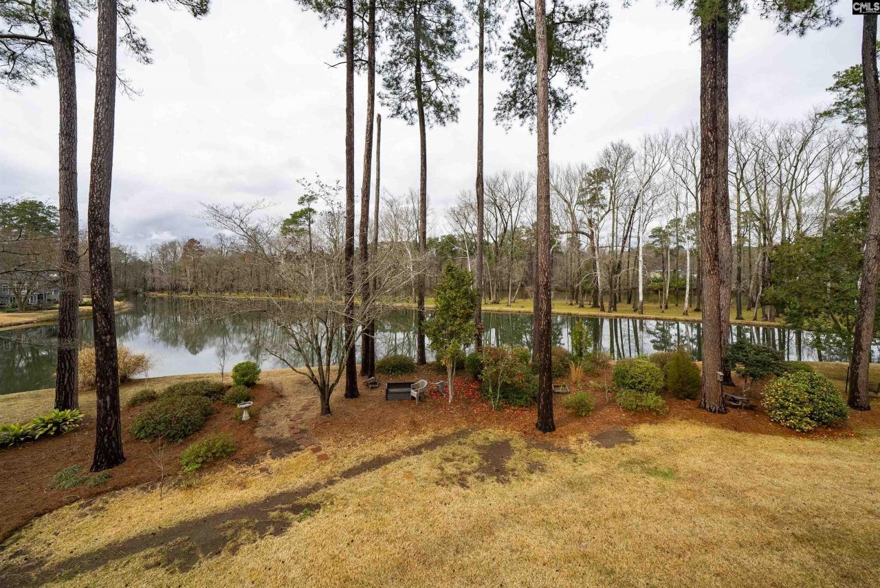 109 Saluda View Court  Photo 59