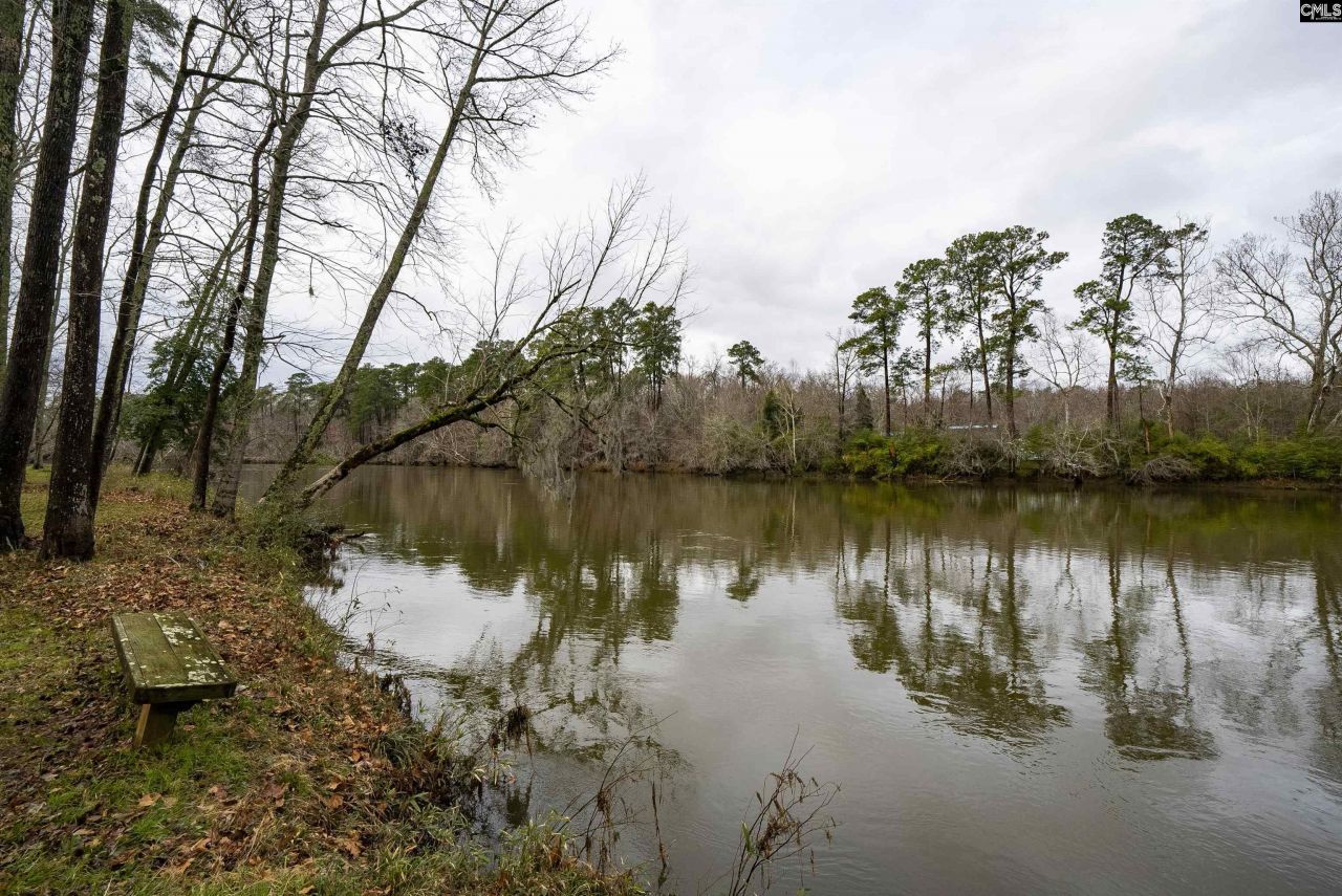 109 Saluda View Court  Photo 61