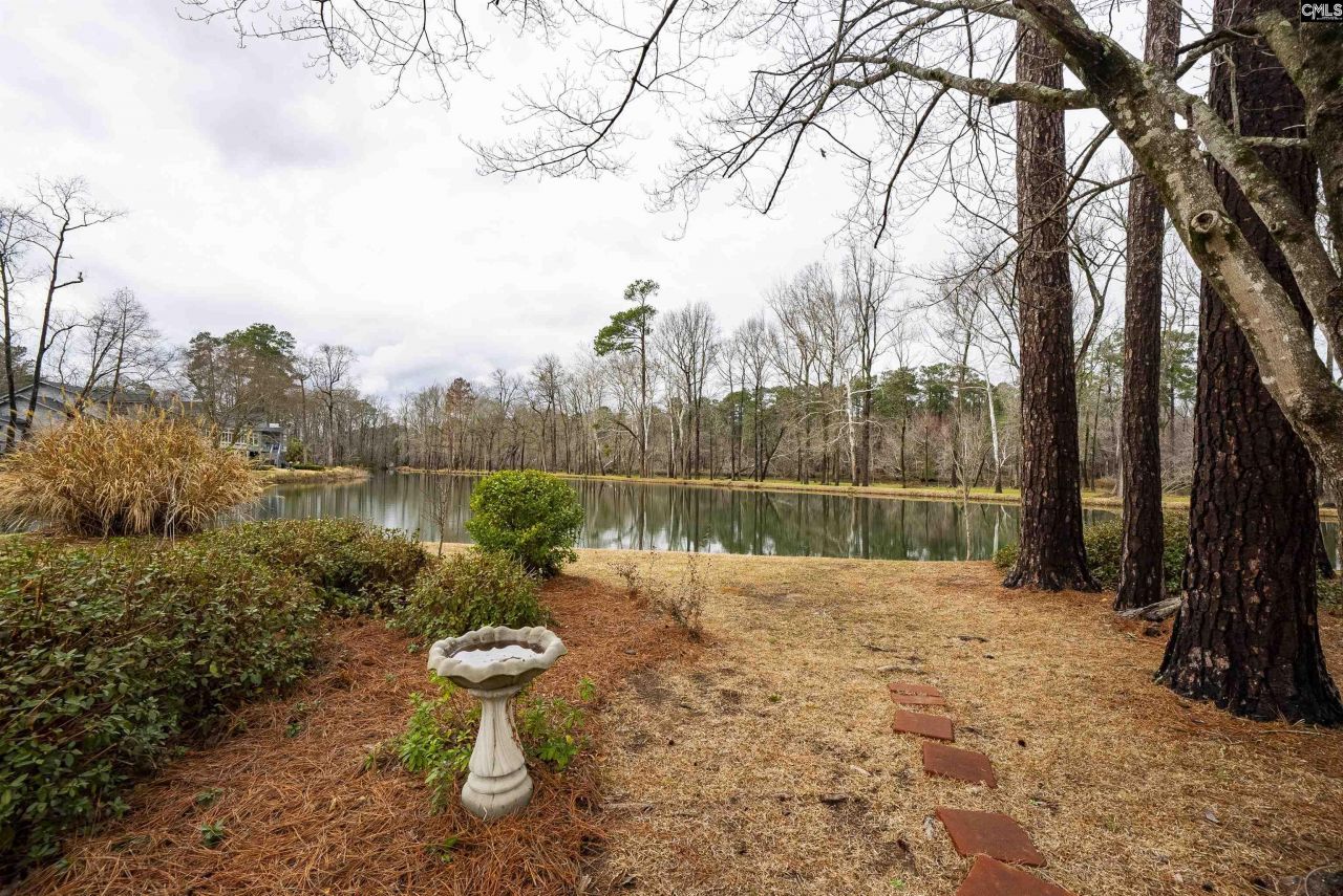 109 Saluda View Court  Photo 62