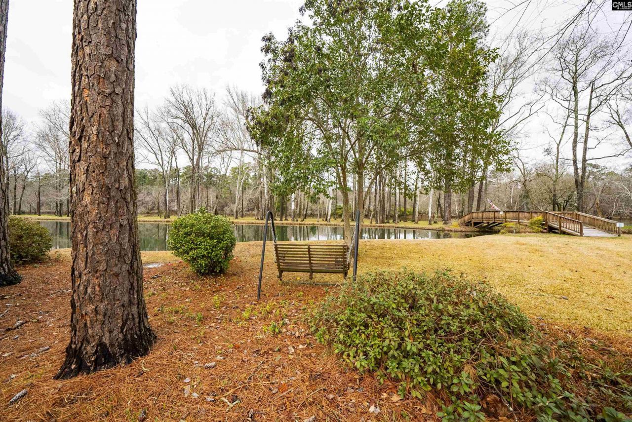 109 Saluda View Court  Photo 63