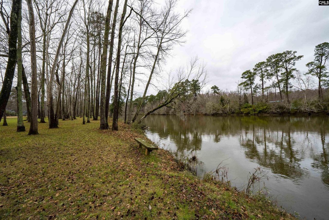 109 Saluda View Court  Photo 65