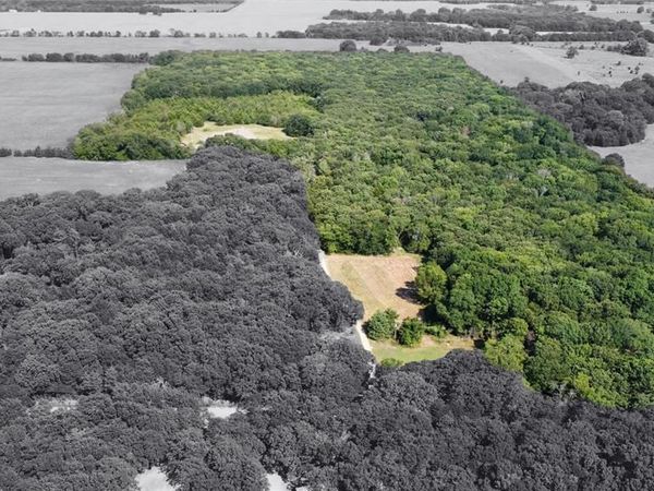 643 County Road 2255, Telephone, TX 75488