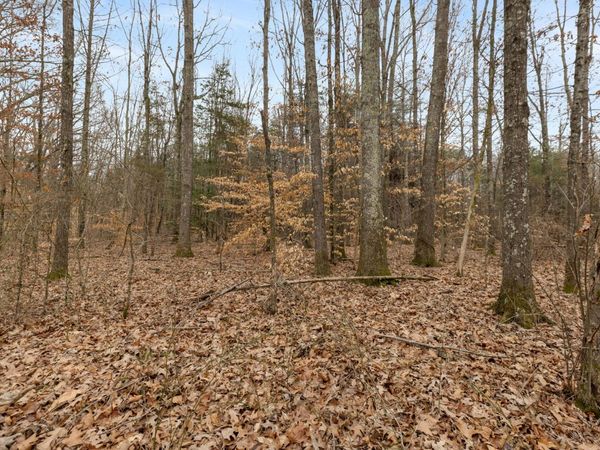 0 Gray Rd , White Bluff, TN 37187