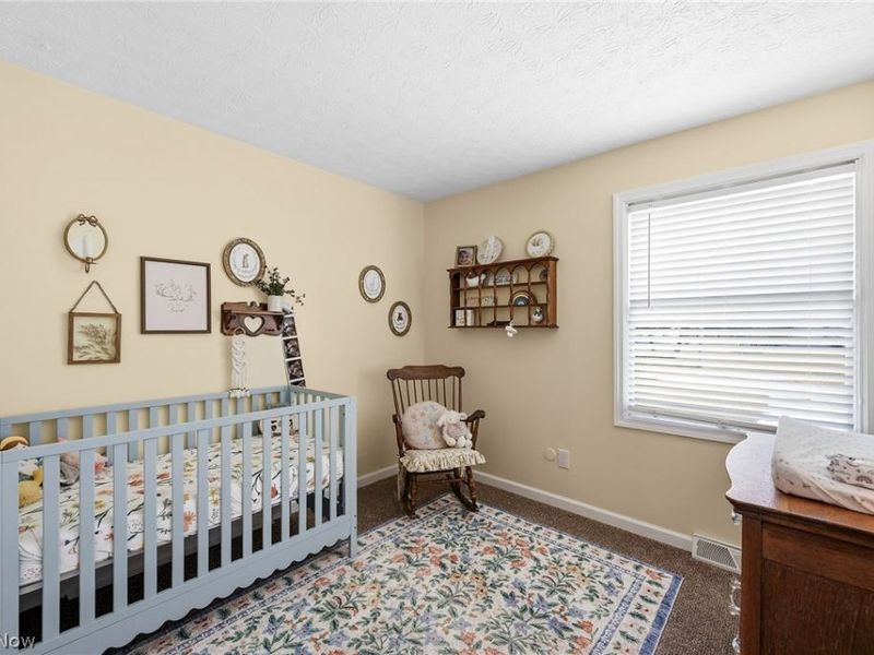 8848 Westfield Road, Westfield Center, OH 44251 Photo 13