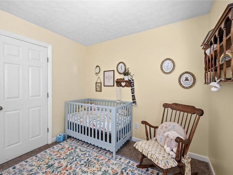 8848 Westfield Road, Westfield Center, OH 44251 Photo 14