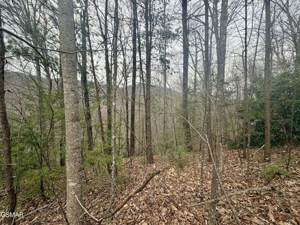 Lot 6 Thissa Way, Gatlinburg, TN 37738