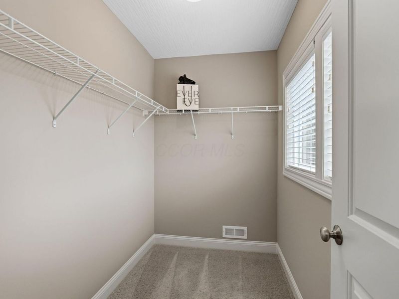 1323 Swanton Street, Lewis Center, OH 43035 Photo 50