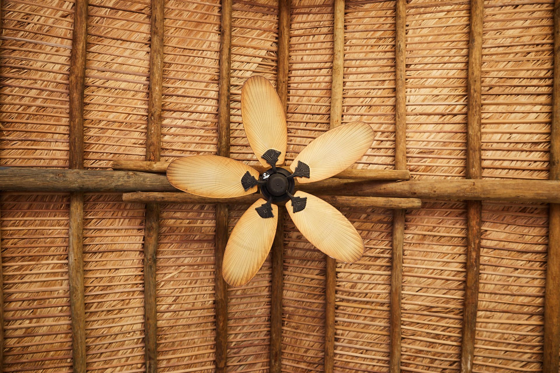 611 S Palmway, Lake Worth Beach, FL 33460 Photo