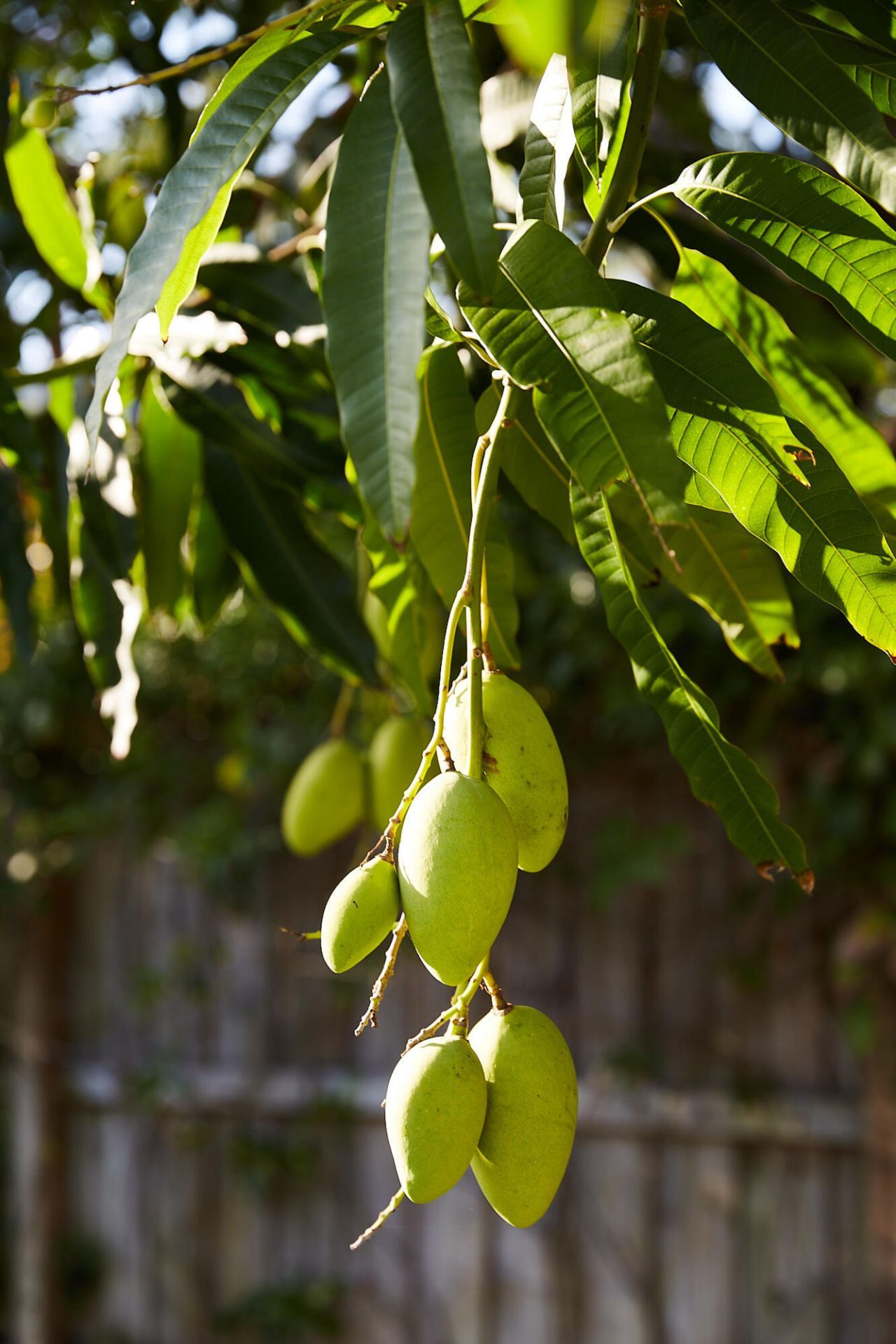 611 S Palmway, Lake Worth Beach, FL 33460 Photo