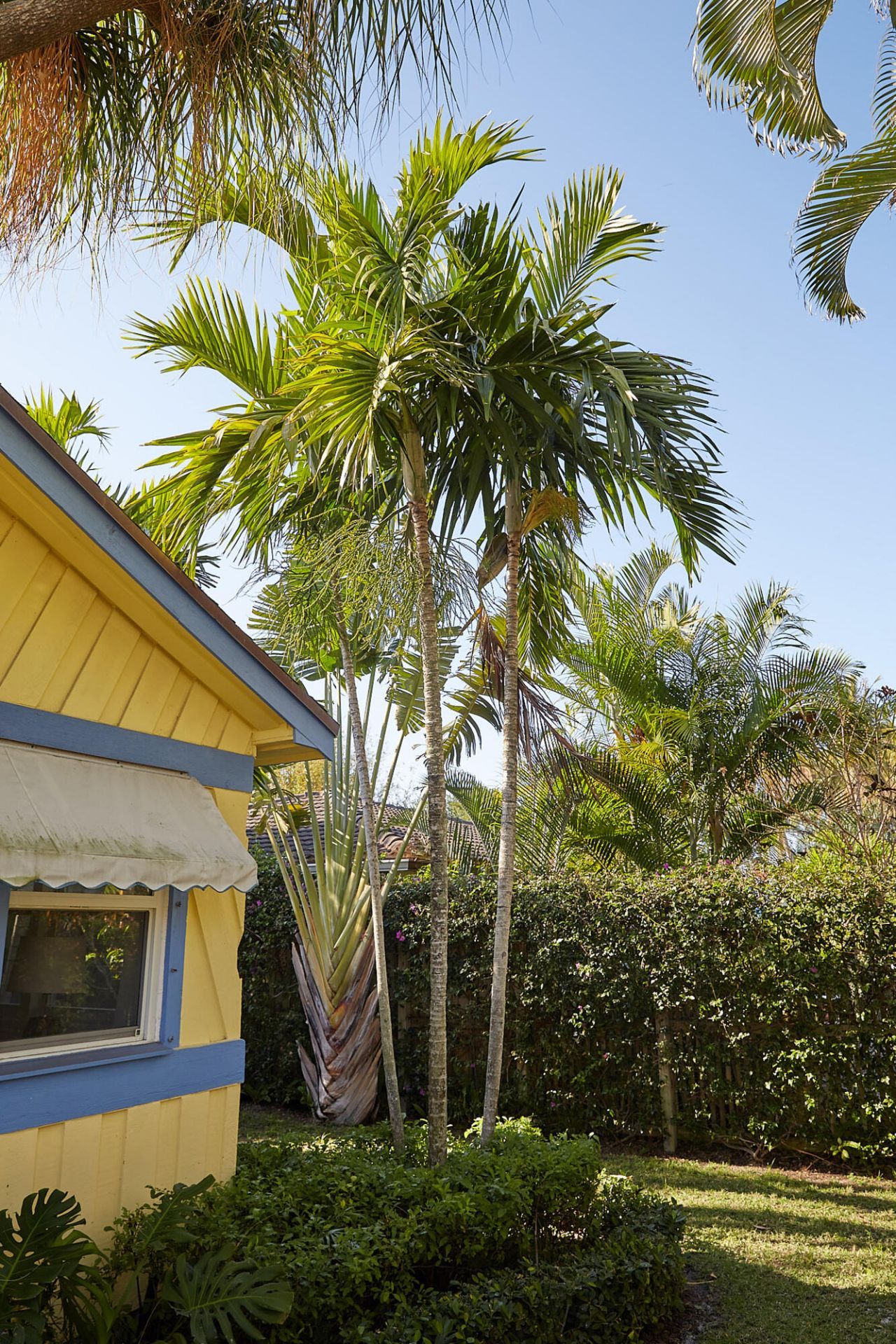 611 S Palmway, Lake Worth Beach, FL 33460 Photo