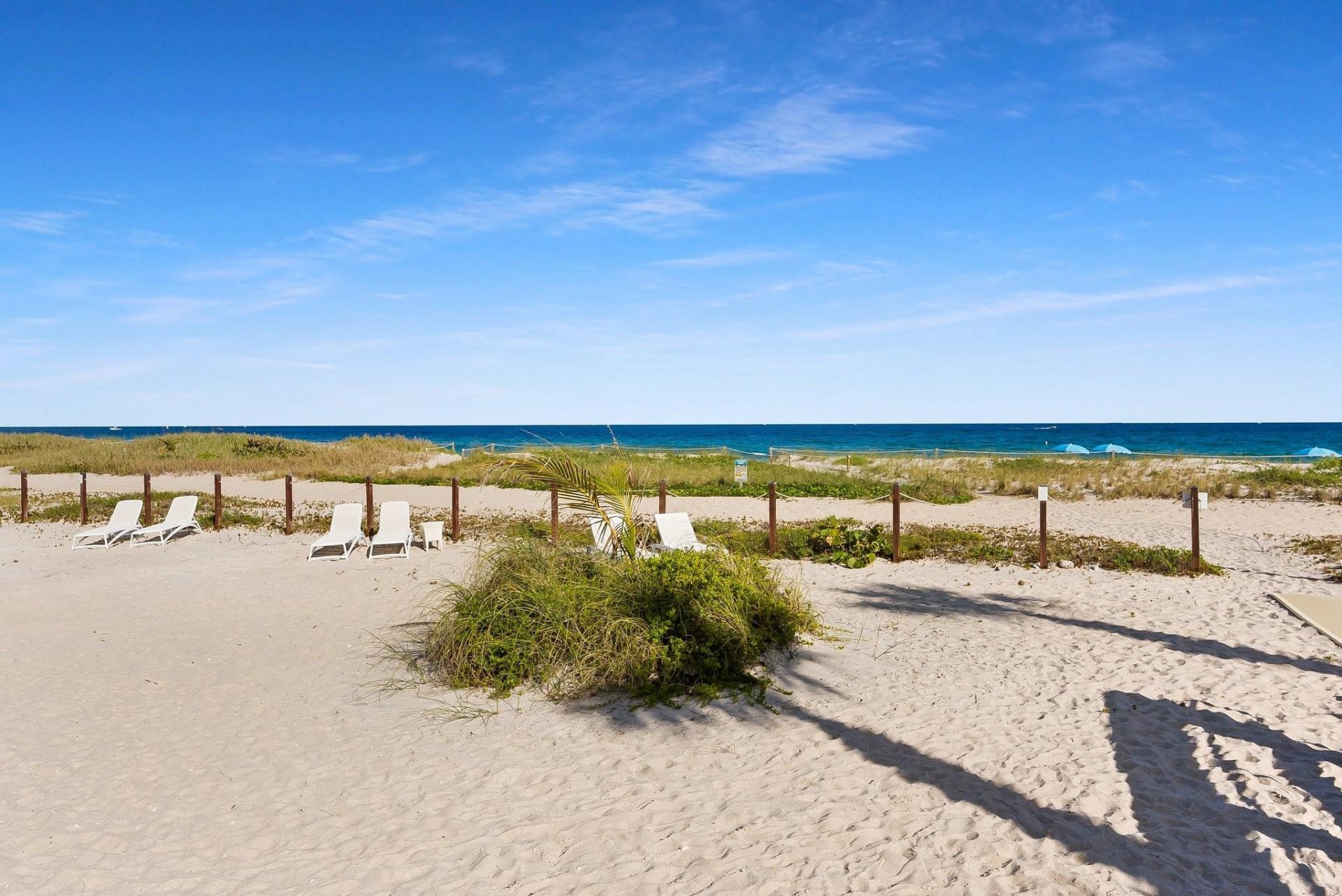 730 N Ocean Boulevard, Unit 505, Pompano Beach, FL 33062 Photo