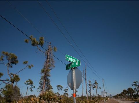 Main Photo
