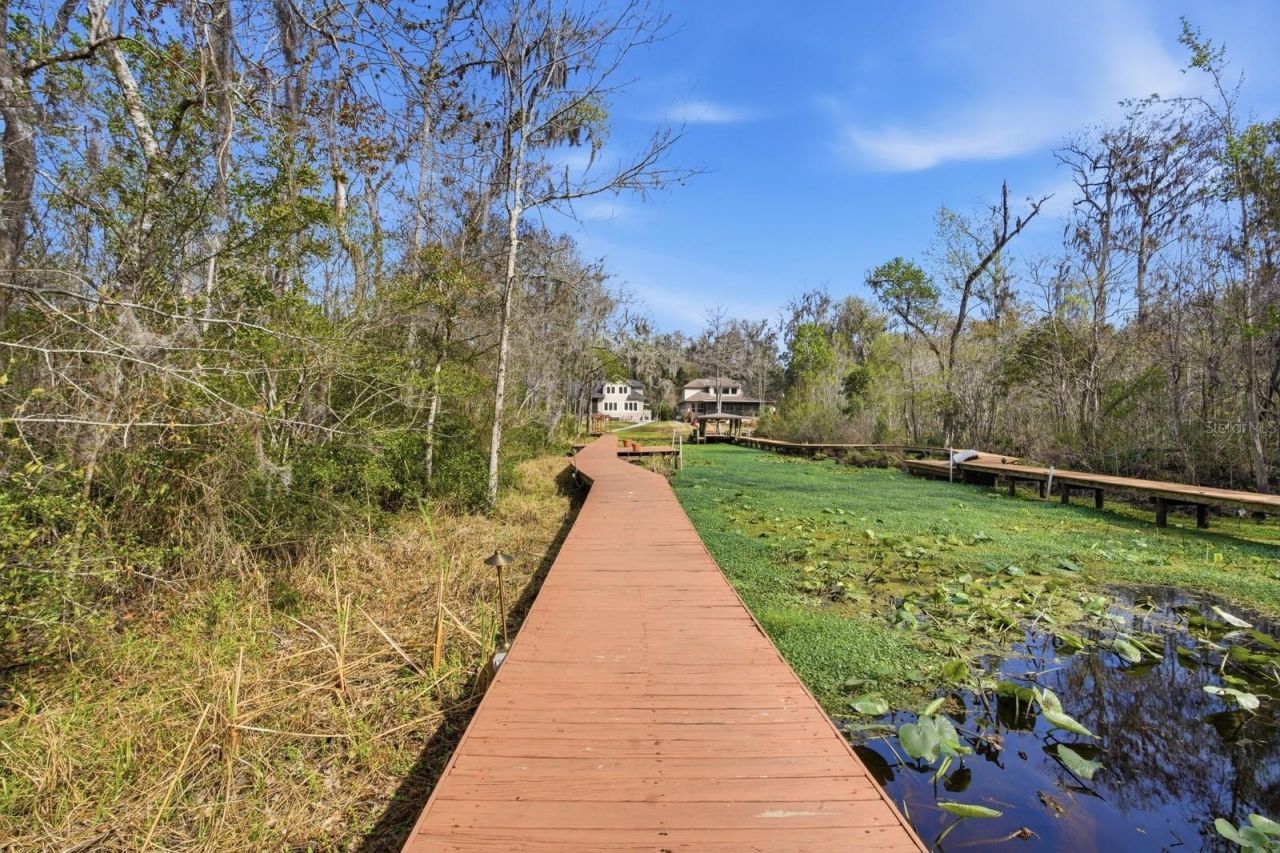 6595 Collier Road, Saint Augustine, FL 32092 Photo