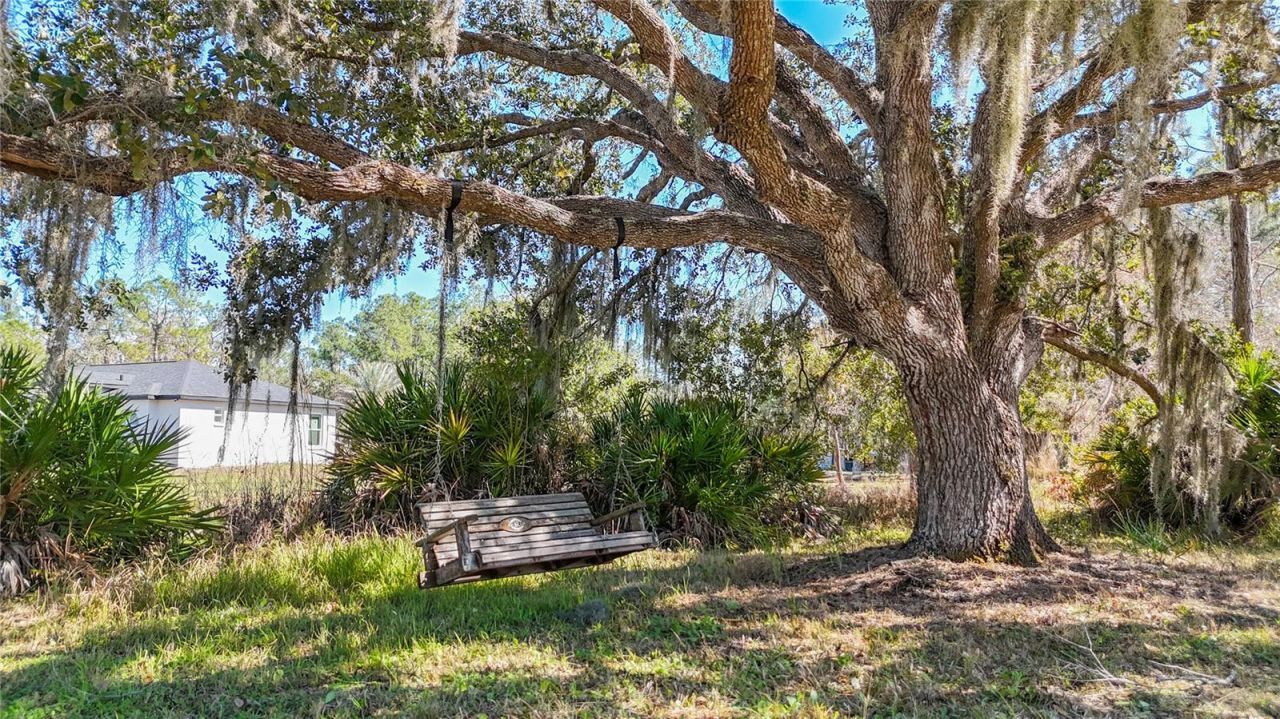 4620 405th Street E, Myakka City, FL 34251 Photo