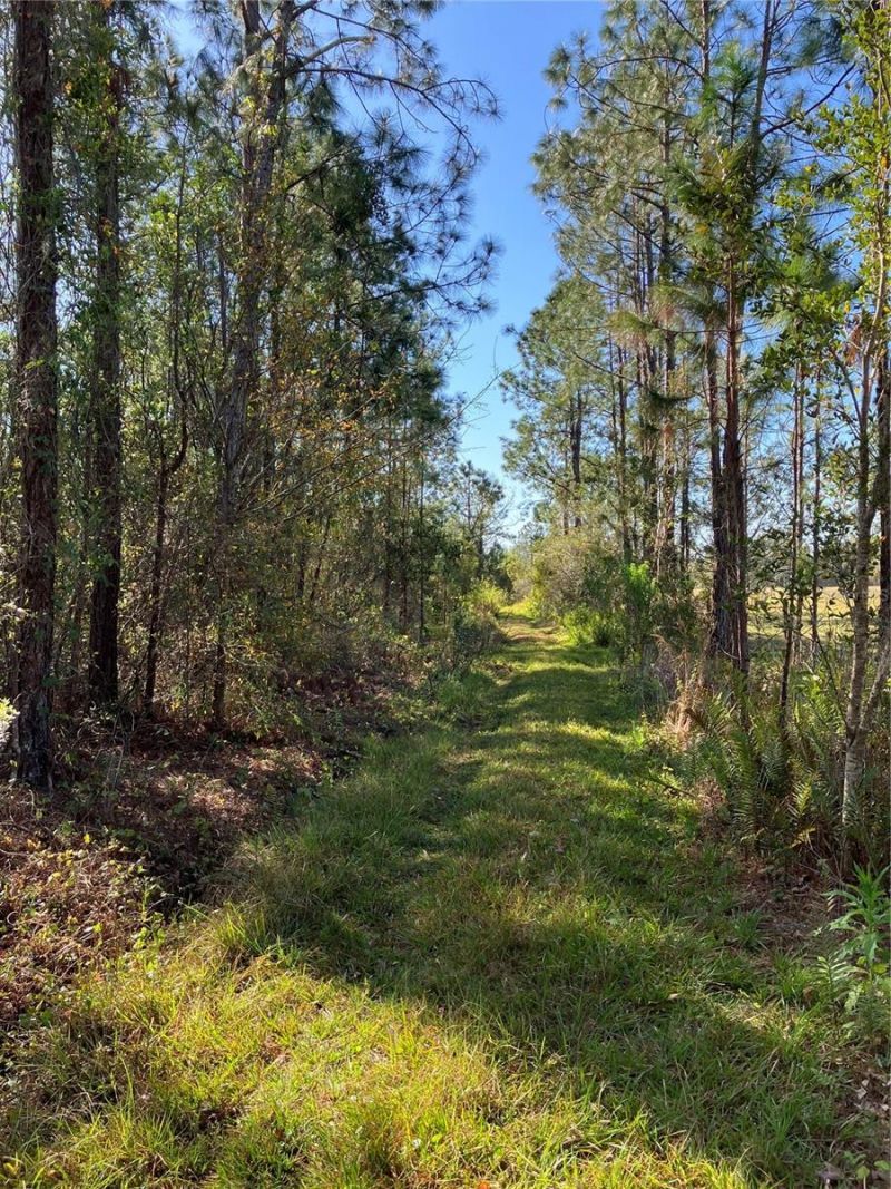 4620 405th Street E, Myakka City, FL 34251 Photo