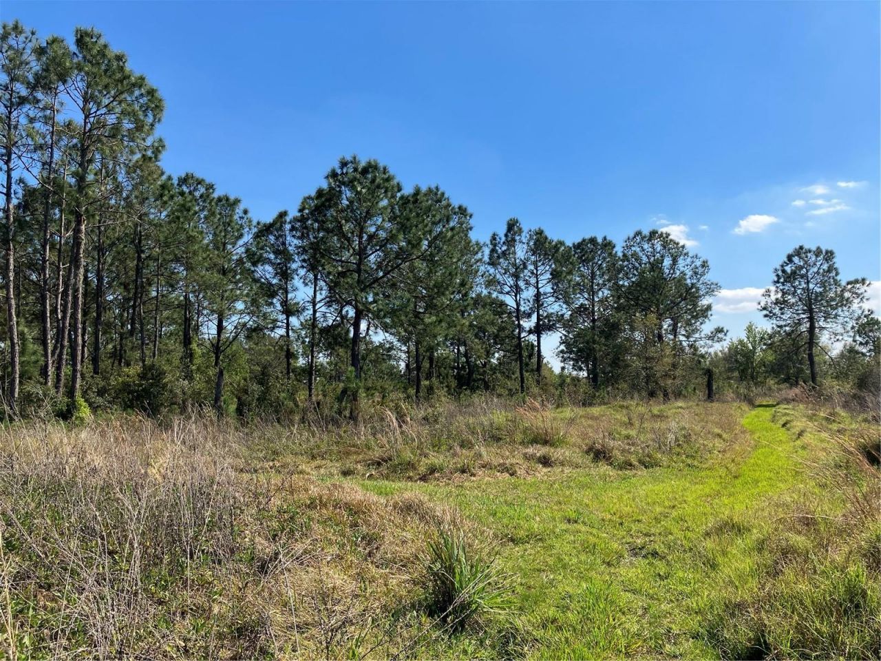 4620 405th Street E, Myakka City, FL 34251 Photo