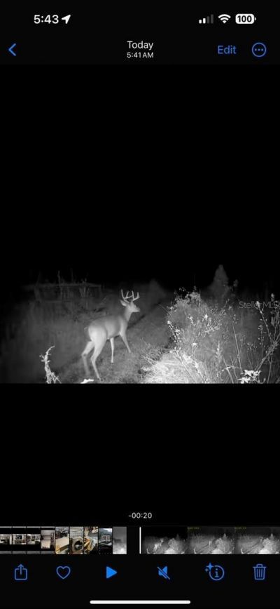 4620 405th Street E, Myakka City, FL 34251 Photo