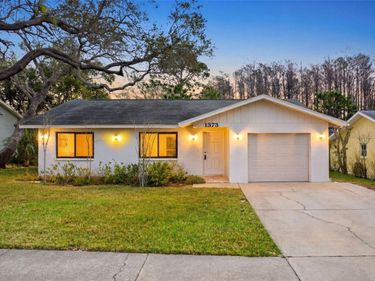 1373 S DISSTON AVENUE, TARPON SPRINGS, FL 34689