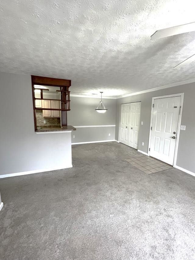 3735 Block House Way  Photo 11