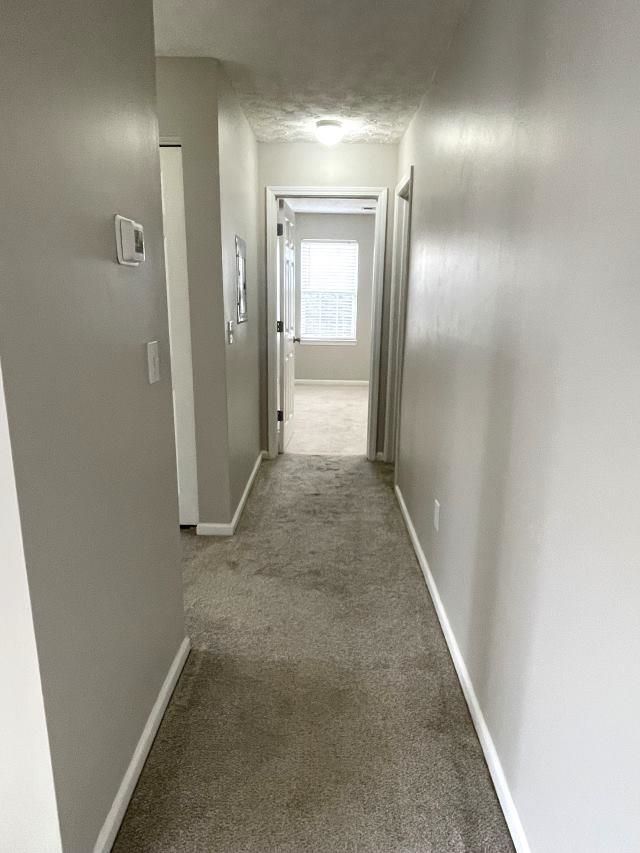 3735 Block House Way  Photo 17