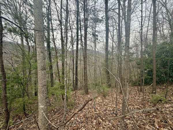 Lot 6 Thissa Way, Gatlinburg, TN 37738