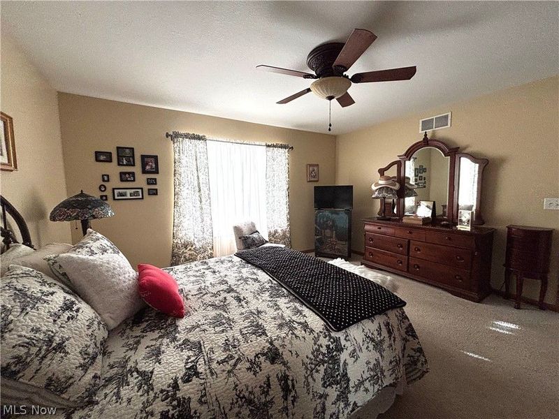 147 Village Court, Columbiana, OH 44408 Photo 18