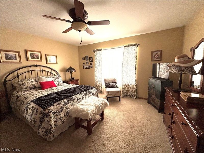 147 Village Court, Columbiana, OH 44408 Photo 19