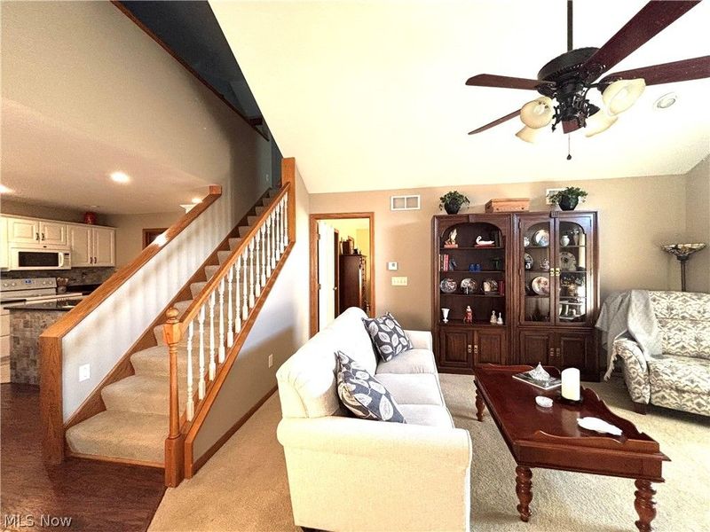 147 Village Court, Columbiana, OH 44408 Photo 6