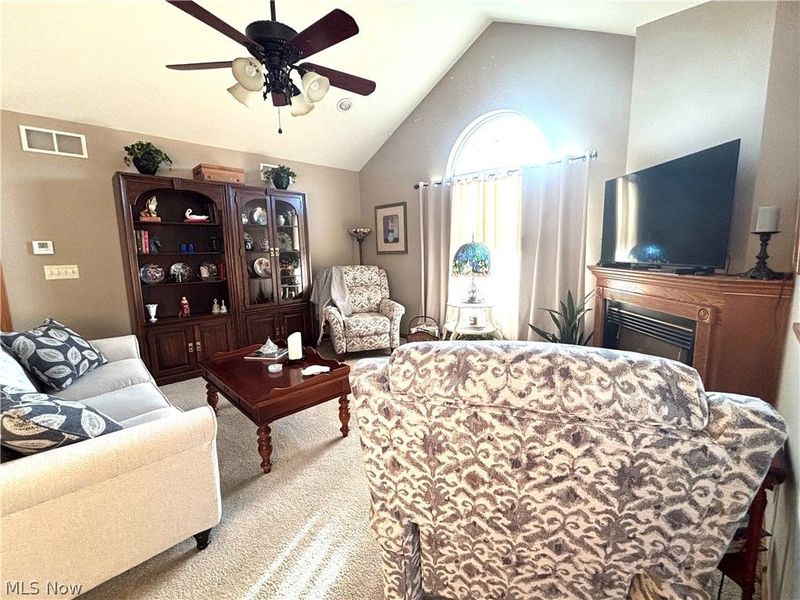 147 Village Court, Columbiana, OH 44408 Photo 8