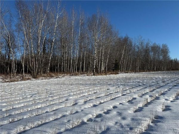 N8817 Smith Drive, Sheldon, WI 54766