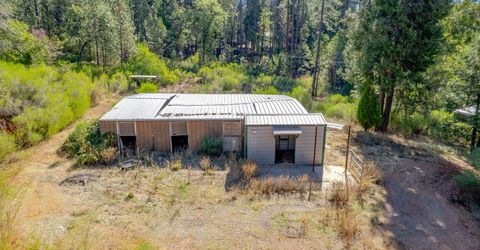 16548 New York House Rd, Brownsville, CA 95919 Photo