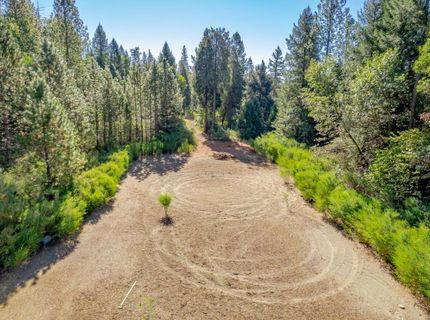 16548 New York House Rd, Brownsville, CA 95919 Photo